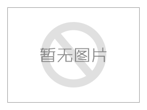 孟邦“花田计划”覆盖全邦，每人仅需3千缅币就能办到电子身份证